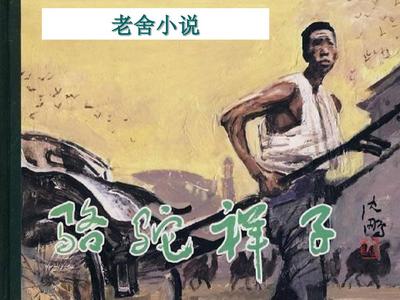 404免费黄页入口